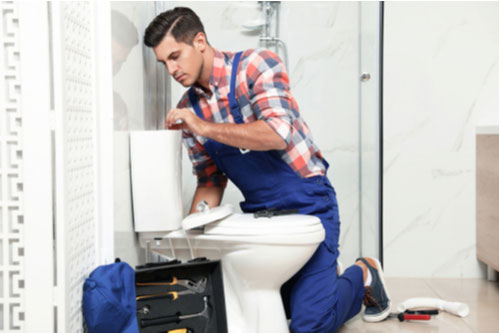 Hollywood residential plumbing expert installing a toilet