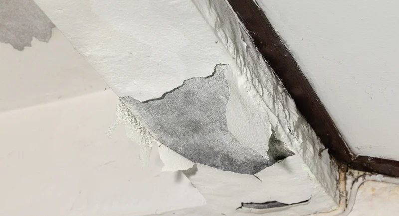 AdobeStock_508875339 leaking concrete slab below porch